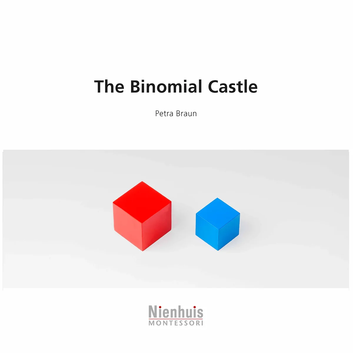 The Binomial Castle - Nienhuis AMI